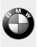 Luz Ambiente BMW